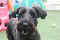 daycare pic 102 - kaiser smile2